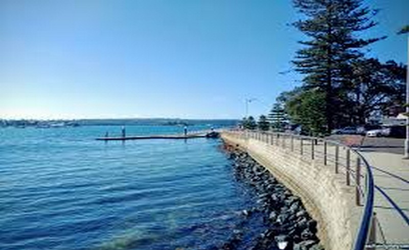     Rose bay
